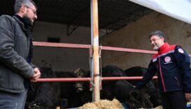 Hayvancılıkla ilgilenen çiftçilere 2 yıl ödemesiz, sübvansiyonlu kredi imkanı başladı