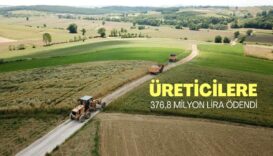 Kasımda çiftçilere 376,8 milyon lira destek