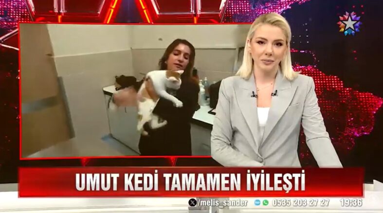 OMÜ’de Lazer Tedavisiyle Yürüyen Kedi Umut, 17 Şubat Kediler Günü’nde Sembol Oldu